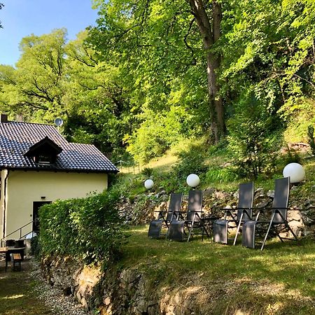 Chalet An Der Donau Direkt Bei Regensburg, 5 Sterne Dtv Pentling المظهر الخارجي الصورة
